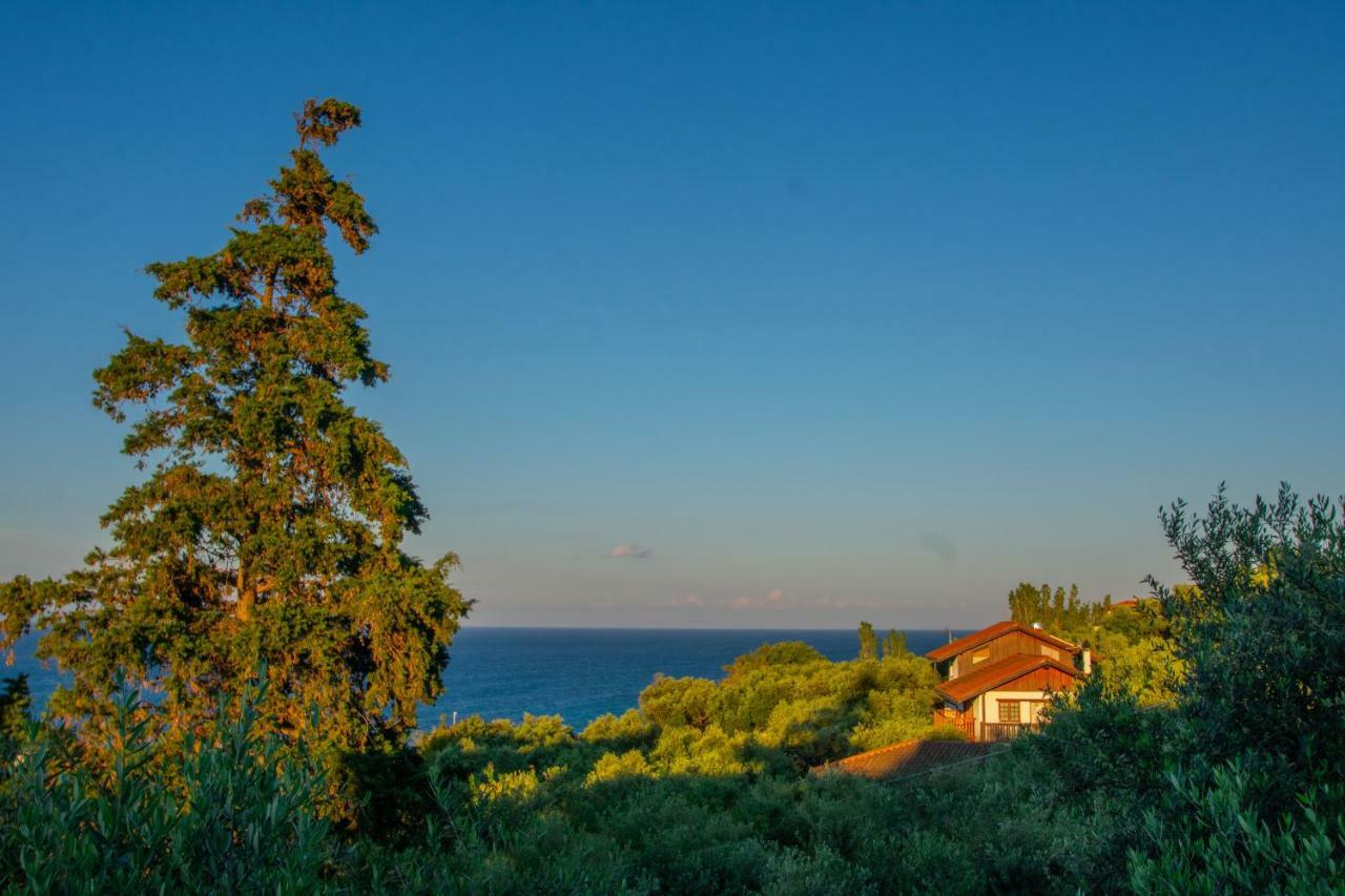 Bella Mare Tsilivi Villas Zakynthos stad