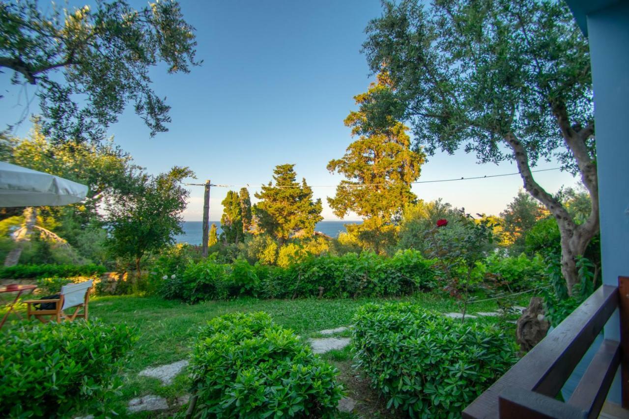 Aparthotel Bella Mare Tsilivi Villas 3*